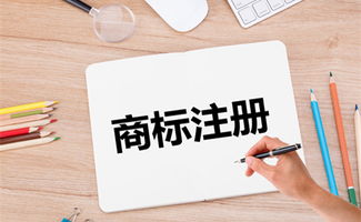 無錫商標(biāo)注冊全攻略 必備流程詳解、證書遺失補辦及法律事務(wù)代理指引