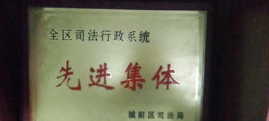 專業(yè)代理 為您的法律事務(wù)保駕護(hù)航